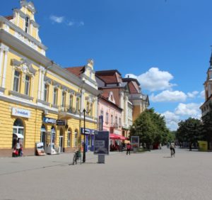 Закарпатське Берегово затоптали дипломати й посадовці