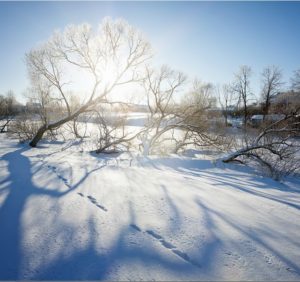 15 грудня: це цікаво знати