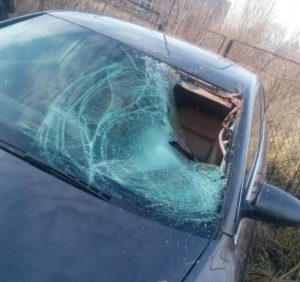 На Тячівщині під колесами “Ауді” загинув велосипедист