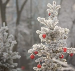 30 грудня: це цікаво знати