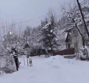 На Воловеччині дві родини ледь не засипало землею (ВІДЕО)