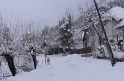 На Воловеччині дві родини ледь не засипало землею (ВІДЕО)
