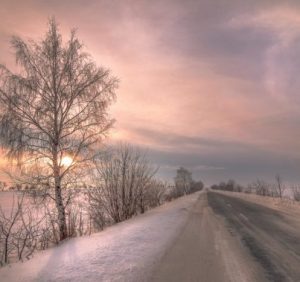 22 грудня: це цікаво знати