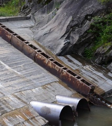 Мукачівців закликають повстати проти будівництва міні-ГЕС