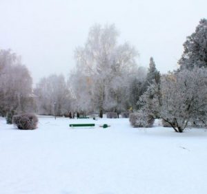 20 cічня: це цікаво знати