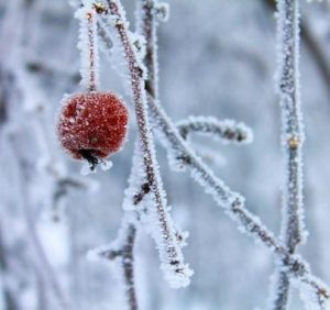 16 січня: це цікаво знати
