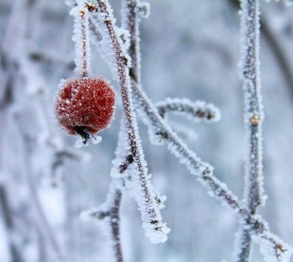 Чого очікувати закарпатцям від погоди у четвер, 25 січня