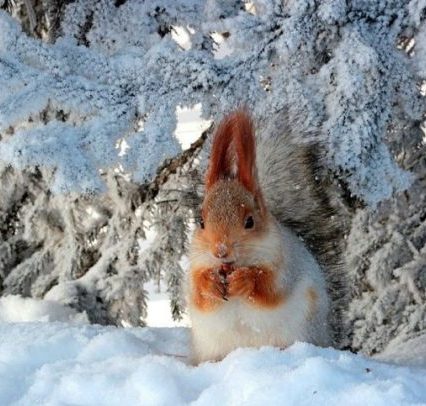 12 січня: це цікаво знати