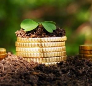 Минулоріч закарпатські платники земельного податку сплатили понад 281,8 млн гривень