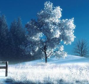17 січня: це цікаво знати
