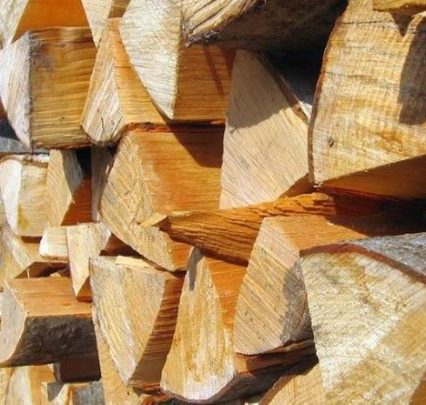 Скільки цього року доведеться заплатити на Берегівщині за екологічні дрова?