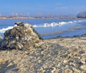 23 лютого: це цікаво знати