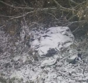 Правоохоронці затримали іноземця, що підозрюється у смертельному побитті мешканця Великого Бичкова (ФОТО)