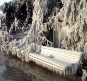 11 лютого: це цікаво знати