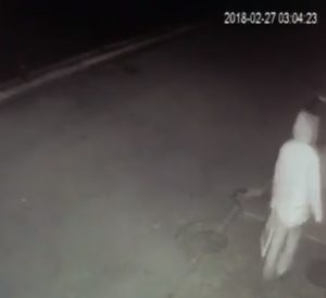 Відео підриву угорського офісу в Ужгороді (відео)