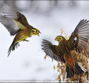 3 березня: це цікаво знати