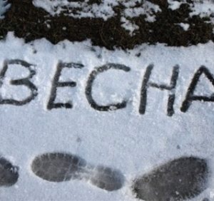 Холодний початок весни не нашкодить рослинам – синоптики (ВІДЕО)
