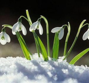 Чого очікувати закарпатцям від погоди у неділю, 4 березня