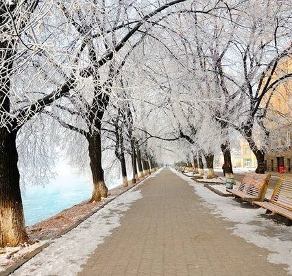 Екскурсію Ужгородом для студентів з Маріуполя провели у рамках другого етапу проекту «GoXChange» (ВІДЕО)