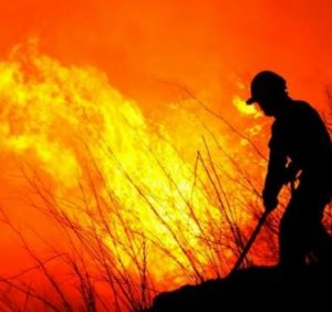 Поля у вогні. Кількаметрові стовпи полум’я і диму охоплюють Ужгород (ВІДЕО)