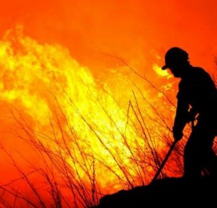Поля у вогні. Кількаметрові стовпи полум’я і диму охоплюють Ужгород (ВІДЕО)