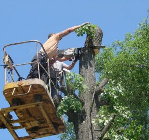 До уваги водіїв Ужгорода: завтра обмежать рух на вулиці Українській