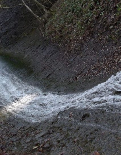 На Тячівщині набирає популярності маловідомий водоспад (ВІДЕО)
