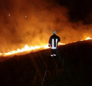 «Трав’яні» пожежі продовжуються…