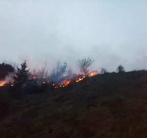 Суха трава продовжує горіти, а вогнеборці – боротися із такими пожежами