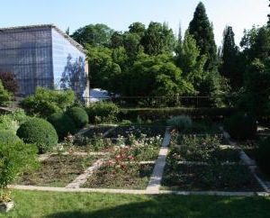 Чому Ботанічний сад в Ужгороді працює лише в будні дні