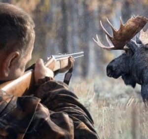 Закарпатське ОУЛМГ відновлює видачу мисливських посвідчень