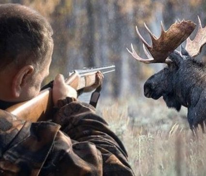 1 квітня на Закарпатті стартує «сезон тиші» для диких тварин