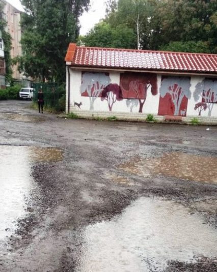 Ужгородська міськрада саботує ремонт дороги до трьох навчальних закладів (фото)