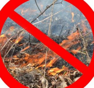 Лісівники Воловеччини закликають не спалювати траву