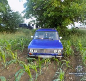 Тікаючи від поліції викрадачі автомобіля покинули його у кукурудзяному полі (ФОТО)