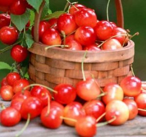 23 червня: це цікаво знати