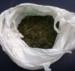 Під час санкціонованого судом обшуку поліція вилучила у берегівчанина наркотики