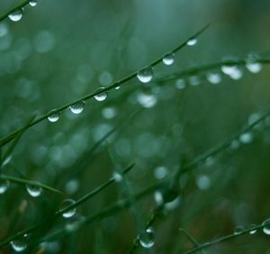 7 червня: це цікаво знати