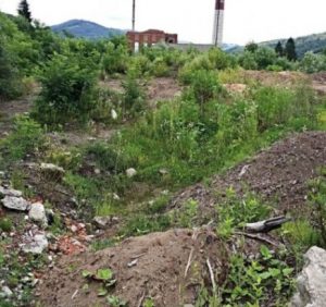 У Рахові в центрі міста влаштували стихійне сміттєзвалище (фото)