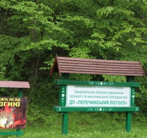 Ліси Перечинщини закриті для відвідувань