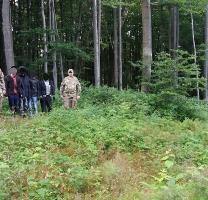 Групу нелегалів затримав спільний патруль прикордонників  України та Словаччини