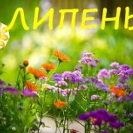 Чого очікувати закарпатцям від погоди у понеділок, 2 липня