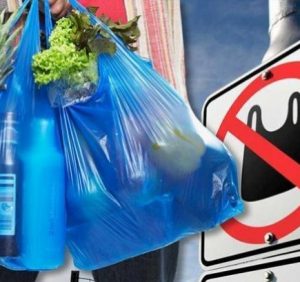 Закарпатські депутати проситимуть Верховну Раду заборонити поліетиленові пакети