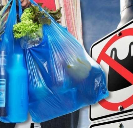 Закарпатські депутати проситимуть Верховну Раду заборонити поліетиленові пакети