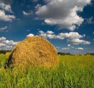28 серпня: це цікаво знати