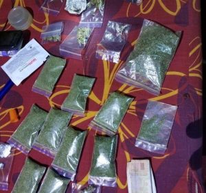 Факти незаконного вирощування наркотиків фіксують на Закарпатті (фото)