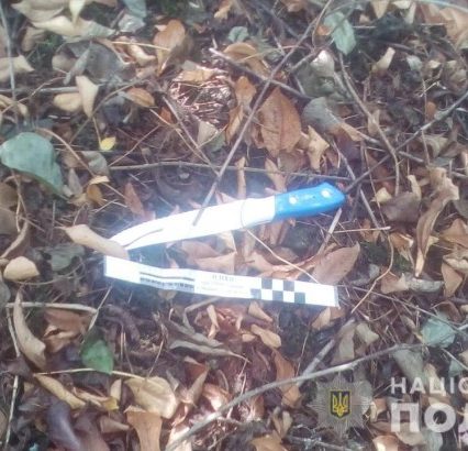 Черкащанин вдарив ножем жителя Запоріжжя у закарпатському Перечині