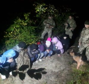 Групу нелегалів з Азії затримали прикордонники на Закарпатті