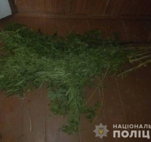 Один мукачівець збував психотропи, інший – вирощував коноплю
