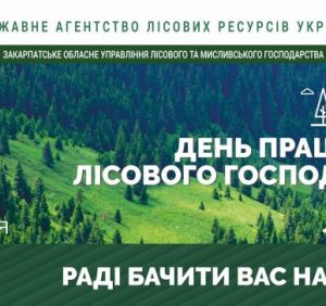 Свято лісу на Закарпатті чекає на гостей (АНОНС)